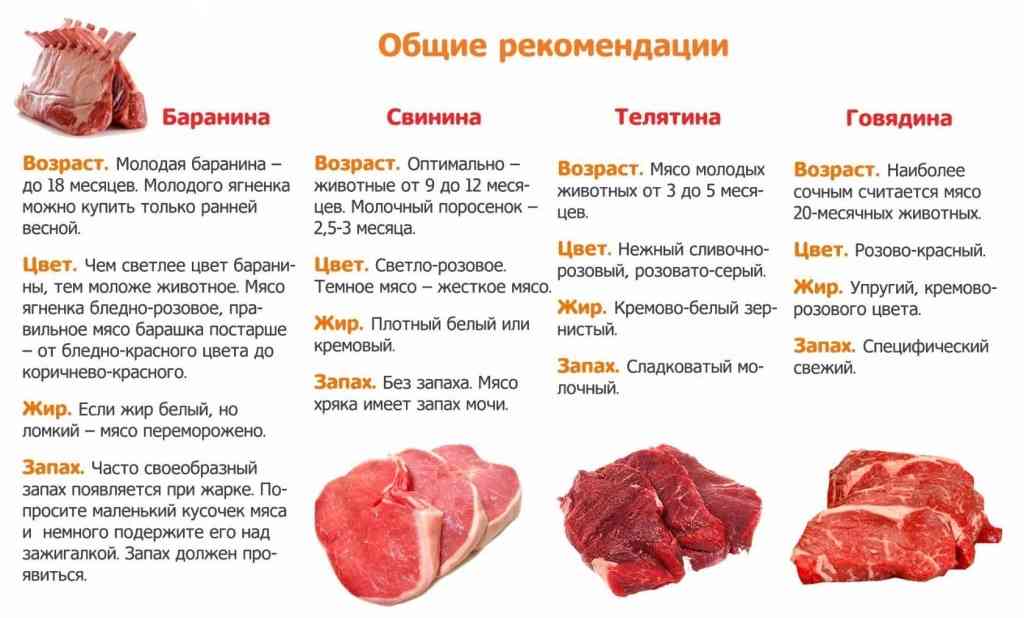 характеристики мяса